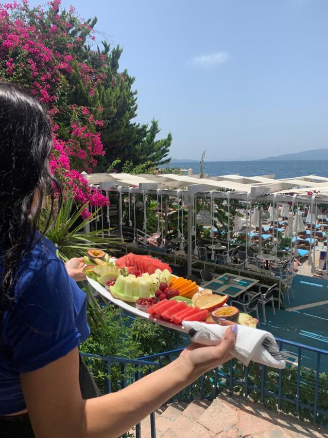 Cocktail & Dreams - Sarandë