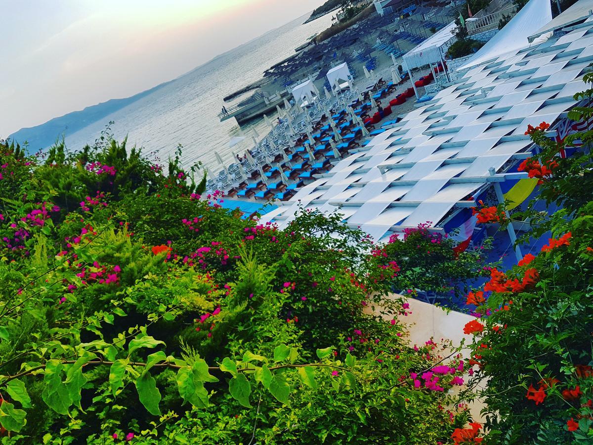 Hotel Cocktail & Dreams -